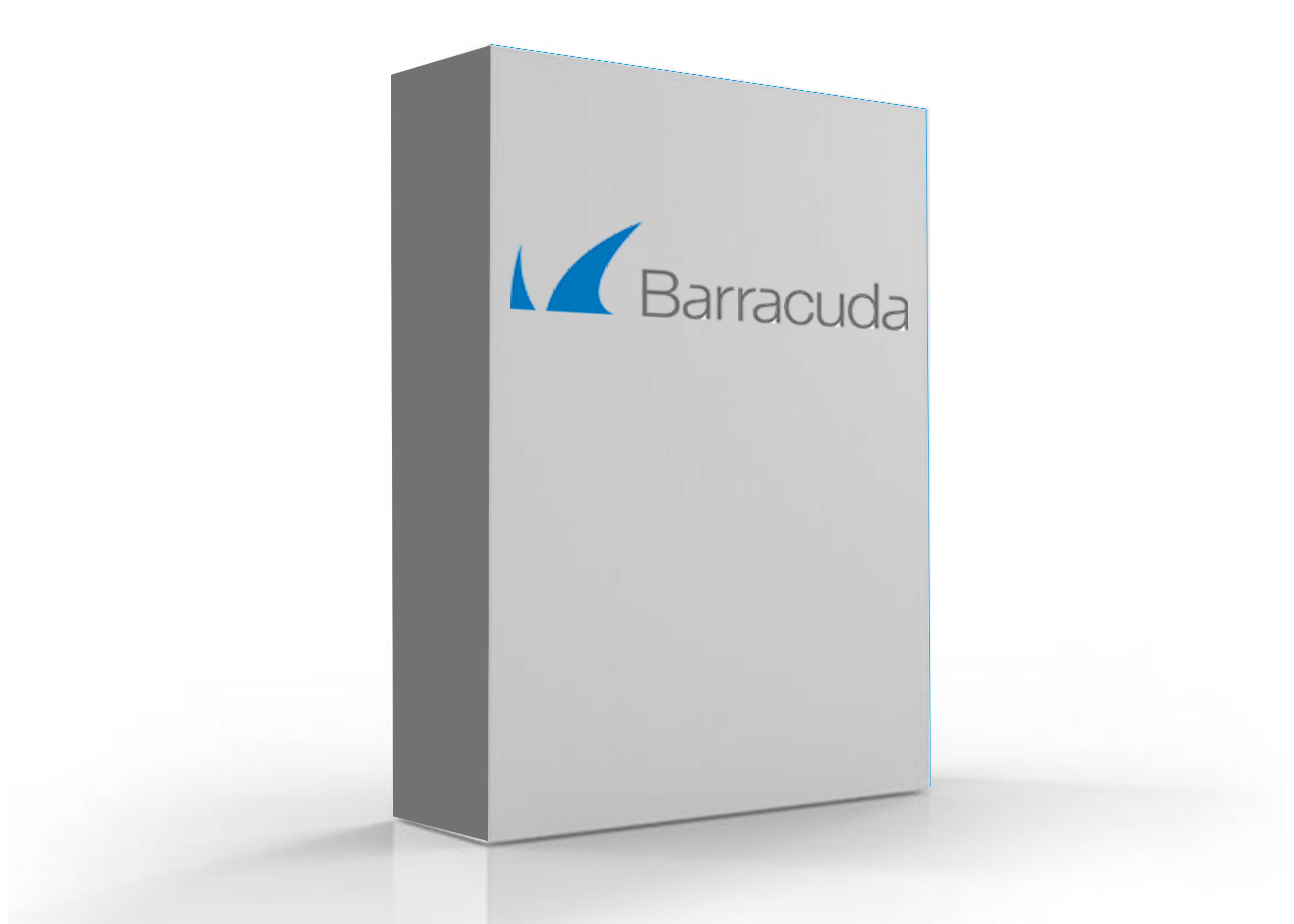 Barracuda Secure Home Office