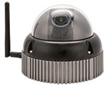 Falcon HD Dome IP Camera