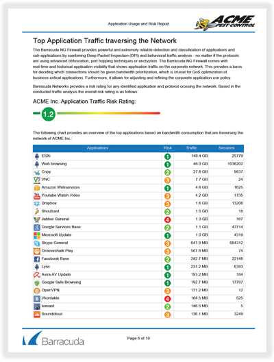 Application Risk and Usage Report